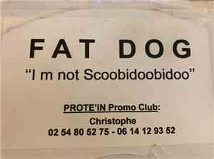 Fat Dog - I'm Not ScoobiDoobidoo