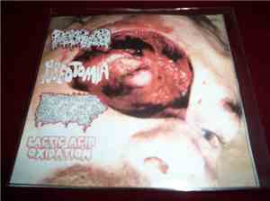 Dissolved , Pubeotomia, Infected Blistered Pissflap, Lactic Acid Oxidation  ...