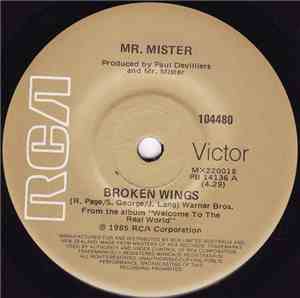 Mr. Mister - Broken Wings