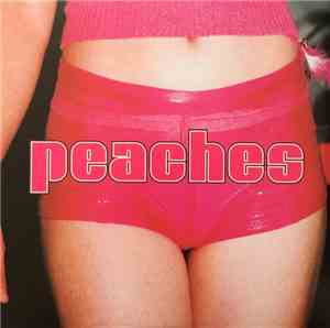 Peaches - The Teaches Of Peaches