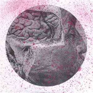 Slowlistener / Century Plants / Terrortank - My Mind Is Blind