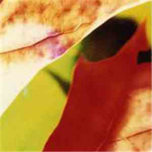 Adam Pacione - Still Life No. 7 : Emulsions