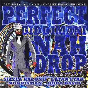 Perfect Giddimani - Nah Drop