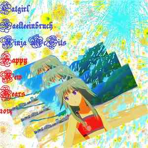 Catgirl / Kaelteeinbruch / Ninja McTits - Happy New Years 2014