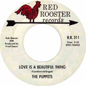 The Puppets  - Love Is A Beautiful Thing