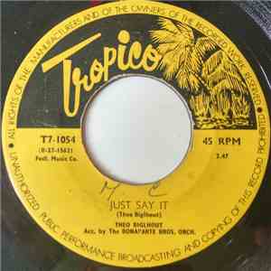 Theo Biglhout - Get Out Of Sight / Just Say It