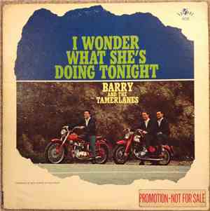 Barry And The Tamerlanes - I Wonder What She's Doing Tonight