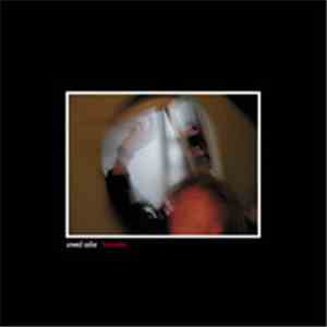 Unwed Sailor - Firecracker