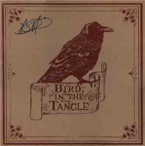 Brett Detar - Bird In The Tangle
