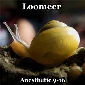 Loomeer - Anesthetic 9​-​16