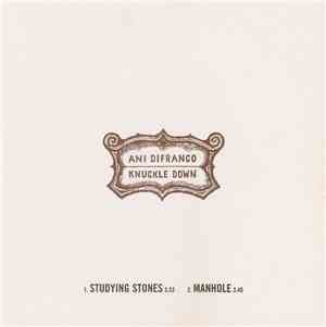 Ani DiFranco - Music From Knuckle Down