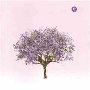 Eels - Tomorrow Morning