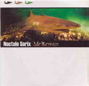 Noctule Sorix - Mr Brown
