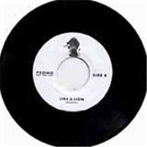 World Supreme Funky Fellows 2102 - Like A Lion