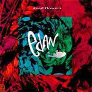 Edan  - Dead Flowers
