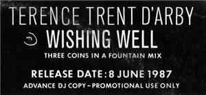 Terence Trent D'Arby - Wishing Well (Three Coins In A Fountain Mix)