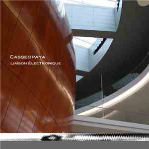 Casseopaya - Liaison Electronique