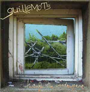 Guillemots - Through The Windowpane