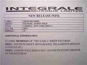Raoul Delgardo / David Paxton - New York Remix Sessions