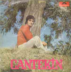 Cantekin - Budala