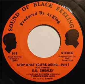 K.G. Shealey - Stop What You're Doing
