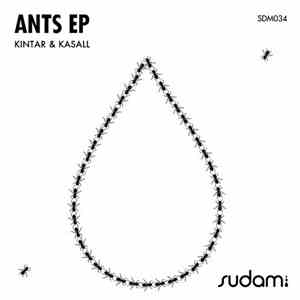 Kintar & Kasall - Ants EP