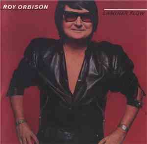 Roy Orbison - Laminar Flow