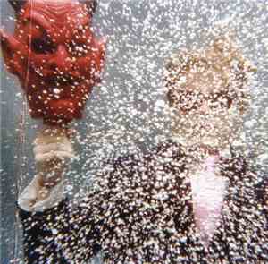 Ty Segall - Ty Segall