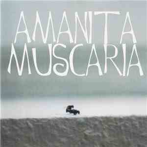 Amanita Muscaria  - Amanita Muscaria