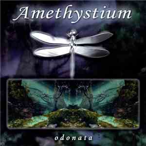 Amethystium - Odonata
