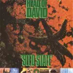 Head Of David - Seed State