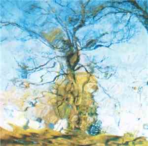 Misha Feigin & Susan Alcorn - The Other Side Of Reflections