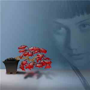 Pablo Roma - Sad Flowers (Remixes)