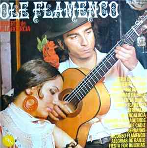 Roberto De Villargarcia - Ole Flamenco