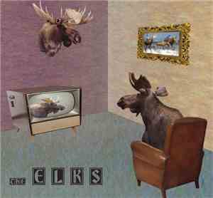 The Elks  - This Is Not The Ant