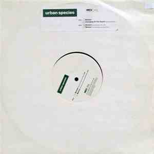 Urban Species - Woman