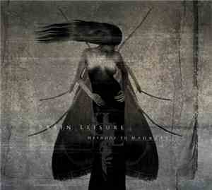 Brain Leisure - Methods To Madness