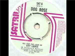 Dog Rose - City Lights