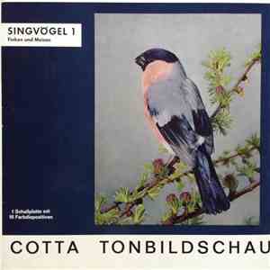 No Artist - Singvögel 1
