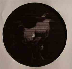 Shards  - 004