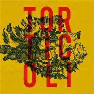 Torticoli - Torticoli