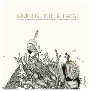 Grünen : Achim Kaufmann / Robert Landfermann / Christian Lillinger - Pith A ...