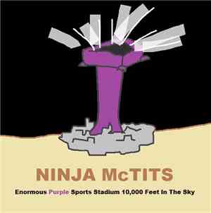 Ninja McTits - Enormous Purple Sports Stadium 10,000 Feet In The Sky
