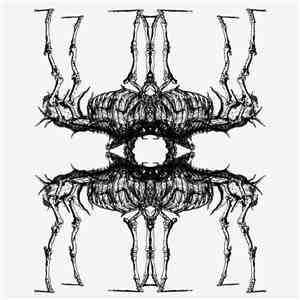 Shrouded Elk - Absolute Dominion