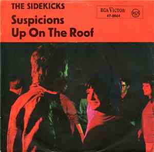 The Sidekicks  - Suspicions
