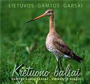 Vidmantas Blažys - Kretuono Balsai