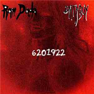 Dataguy / Raw Dada - 6201922