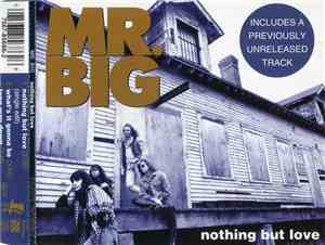 Mr. Big - Nothing But Love