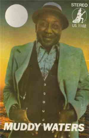 Muddy Waters - Hard Again