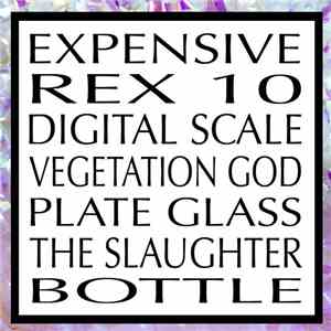 Angel 1 - Rex